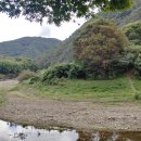 울주 대곡리 반구대 암각화 이미지