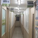 백마고등학교 앞 이미지