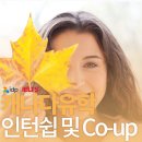 캐나다 컬리지 코업, 실습, 인턴쉽 제도에 대해 알아보기
