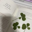 남희청국장 | 보뉴 오랜만에 대충일상🥢