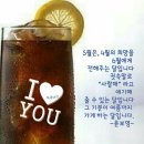 시절인연 이미지