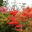 고산의원 이미지