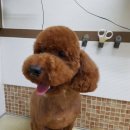 박한준종합동물병원 이미지