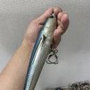 울진왕돌초 이미지