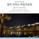 홍가네식당 | 홍가네 대게횟집 픽업 속초 쏘라노 야간산책 코스