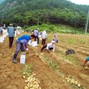 삼조농장 이미지