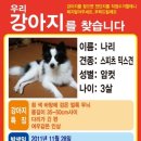 인천구월서초등학교 이미지