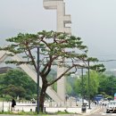 서울대 교수·연구자 시국선언 예고 "윤석열 정부 퇴진" 이미지