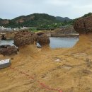 고양이나라 | 대만 버스투어 추천 예스허지 (허우통 고양이마을 후기)