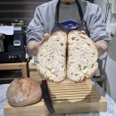 06-3 천연발효 건강빵 마스터과정 | [공지] 26년 2월 시작되는 정규반A_우리밀 손반죽 천연발효빵 &amp; 빵식탁 요리 클래스 공지합니다.