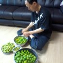 주밤농장 이미지