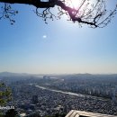 고귀 이미지
