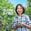 파리바게뜨천안 네이버블로그