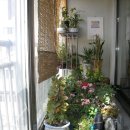 자산동140 이미지