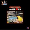 엠원호텔 | 아이와 놀거리 찾아 노천 스파 까지 즐기는 24시 세종 찜질방 추천 엠원업 스파