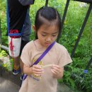 [1,2학년 숲탐험] 6월7일, 14일: 여우골, 나비이야기, 신기한 애벌레 이미지