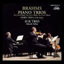 Brahms: Piano Trio No. 1 - Suk Trio / 브람스: 피아노 3중주 1번 - 수크 트리오 이미지
