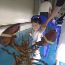 뚜루실내낚시 이미지