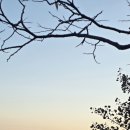 산죽의 F4 이미지