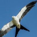 개신초교 병설유치원 이미지