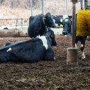 성효목장 이미지