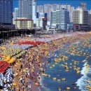 코베라 미용실 네이버블로그