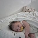 모블리펜션 이미지