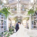 #4. 차별화된 대전 본식 스냅, 라벨르 계약후기