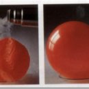 햇빛치과의원 이미지