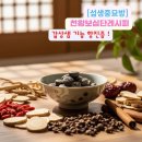 갑상샘 기능 항진증 저하증 증상별 맞춤 한방처방전 및 천왕보심단 정밀 분석 이미지