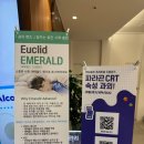 강남대로85길 5 | 초등학생 드림렌즈, 안경 대신 선택한 후기. 강남성모원안과