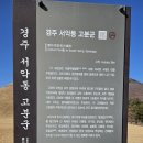 신라투어