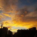 금산선착장 이미지