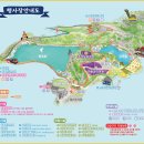 카페취:향향기에취하다 | 동해 가볼만한곳 2025 무릉별유천지 라벤더 축제 총정리