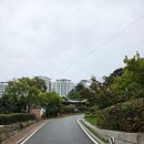 천주교삼성동성당 앞 | [천주교 춘천교구] 춘천 소양로 성당