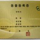 세계로종합동물병원 이미지