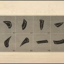 서예강좌 이미지