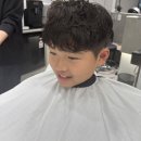 헤이브헤어