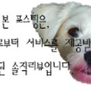 글라스미 렌즈미 별내점 네이버블로그