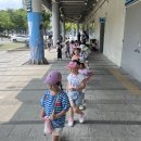 ⚽새싹반 공 프로젝트 - 대구FC축구장에 간 새싹이들!⚽🏆 이미지