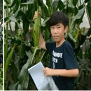 흰구름산촌마을 이미지