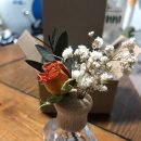 로즈아씨 이미지