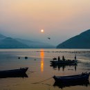 사궁두미 이미지