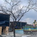 티앤스파펜션 이미지