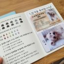 테디펫닥터동물병원 이미지