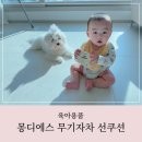 유아썬팩트 고민 끝! 몽디에스 어린이썬팩트 사용 후기