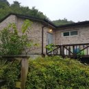 대아초등학교 이미지