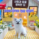 루시펫 | 2025 메가주 케이펫페어 일산 킨텍스 상반기 첫날 방문후기 무료 주차 정보