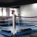 복싱 바이러스 체육관 이미지