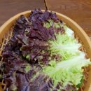 장수천한방민물장어숯불구이 티스토리